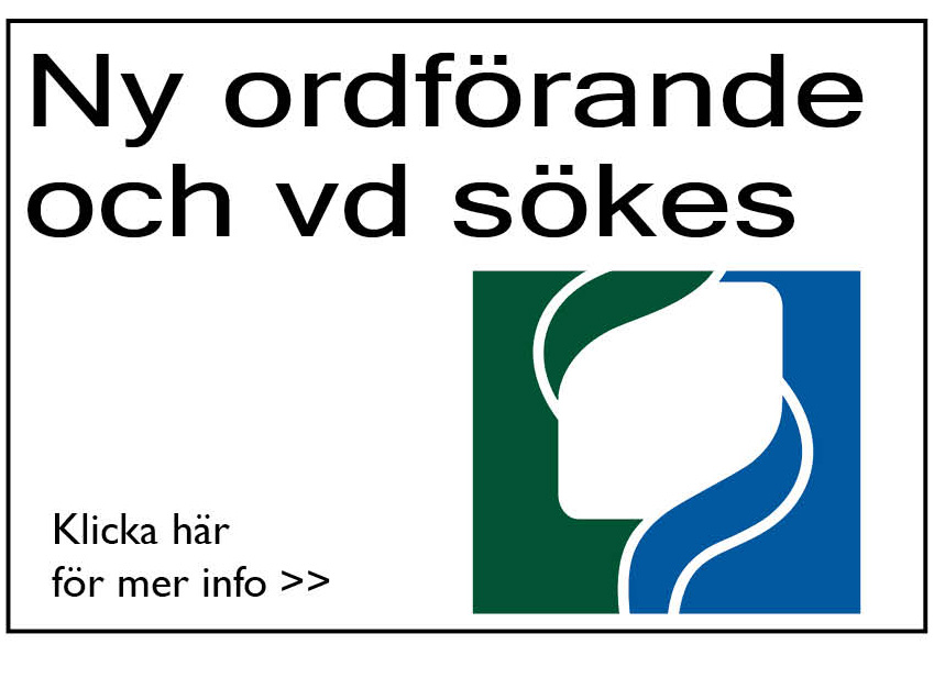 Nytt försök vd
