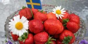 Swedish Midsummer dessert - strawberries - with Swedish flag on