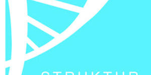 Struktur 2 Struktur 2